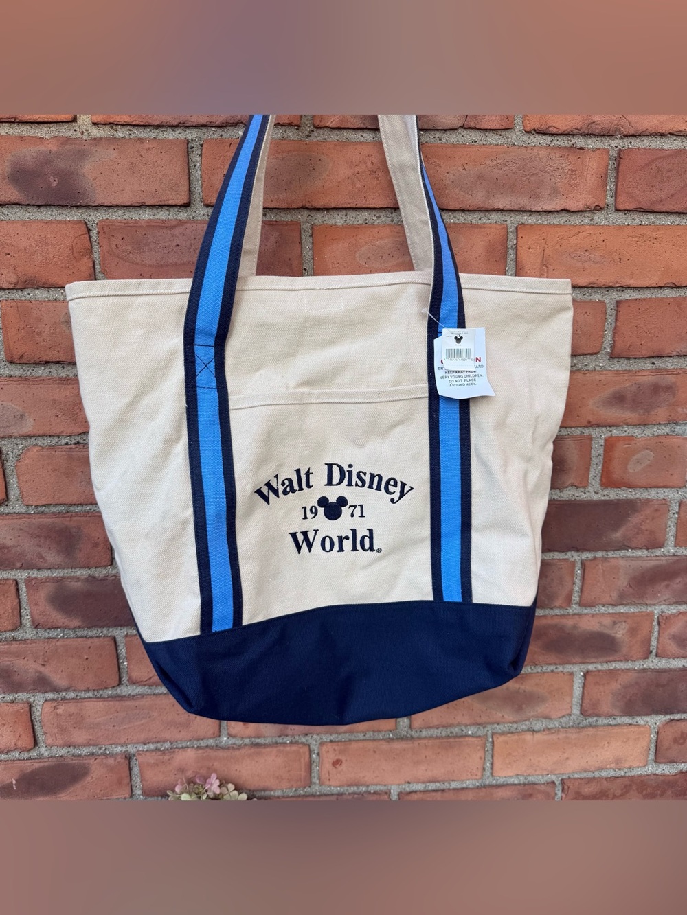 Walt Disney World Tote Bag